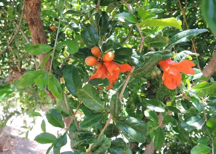 Lägenhet Kapsali Ii *